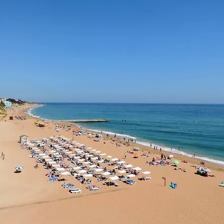 Bertolina 3* البوفيرا